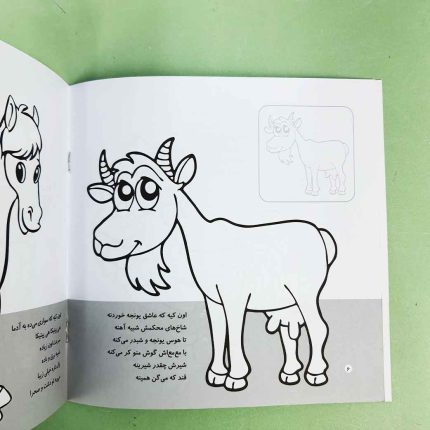 اون چیه رنگش کنیم، آشنایی با حیوانات مزرعه(نشر شهر قلم)