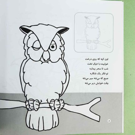 اون چیه رنگش کنیم، آشنایی با پرندگان(نشر شهر قلم) برچسبی
