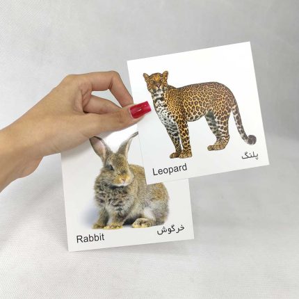 20 عدد کارت پازل دوزبانه حیوانات جنگل(نشر آوای بامداد)