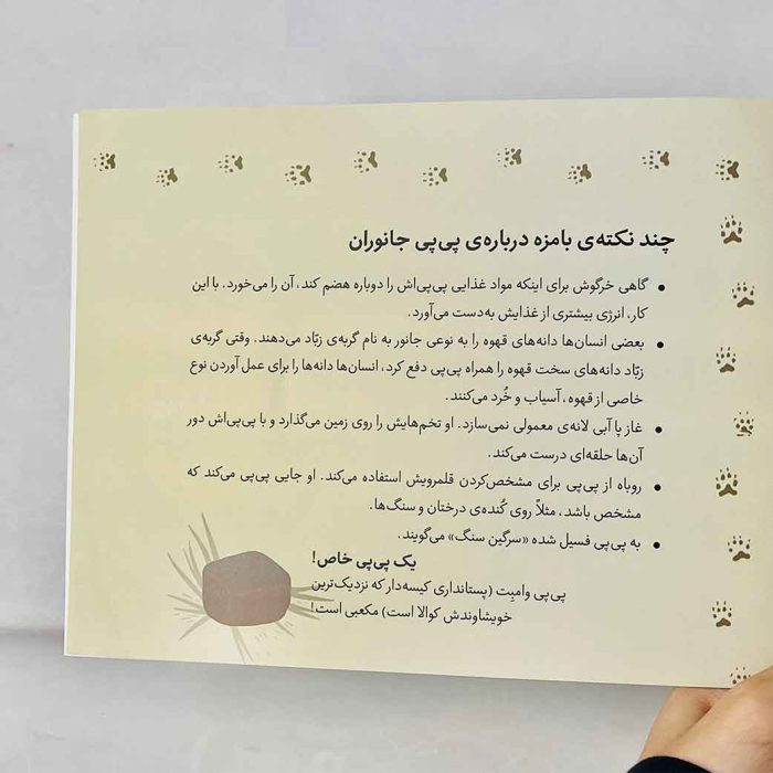 کتاب این پی پی مال کیه ؟!