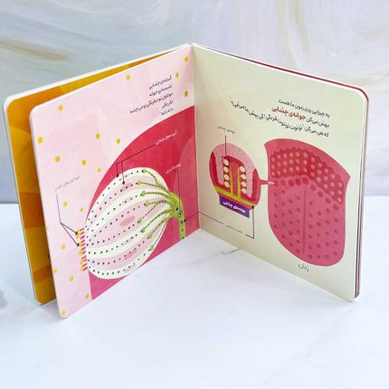 کتاب چشایی؛ فهمیدن طعم غذا و چایی به این میگن چشایی