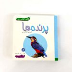 بوردبوک اولین کتاب من | پرنده ها (نشر بنفشه)