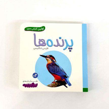 بوردبوک اولین کتاب من | پرنده ها (نشر بنفشه)