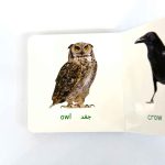 بوردبوک اولین کتاب من | پرنده ها (نشر بنفشه)