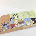 کتاب ماجراهای بلویی 5 شب بخیر خفاش | نشر قاصدک